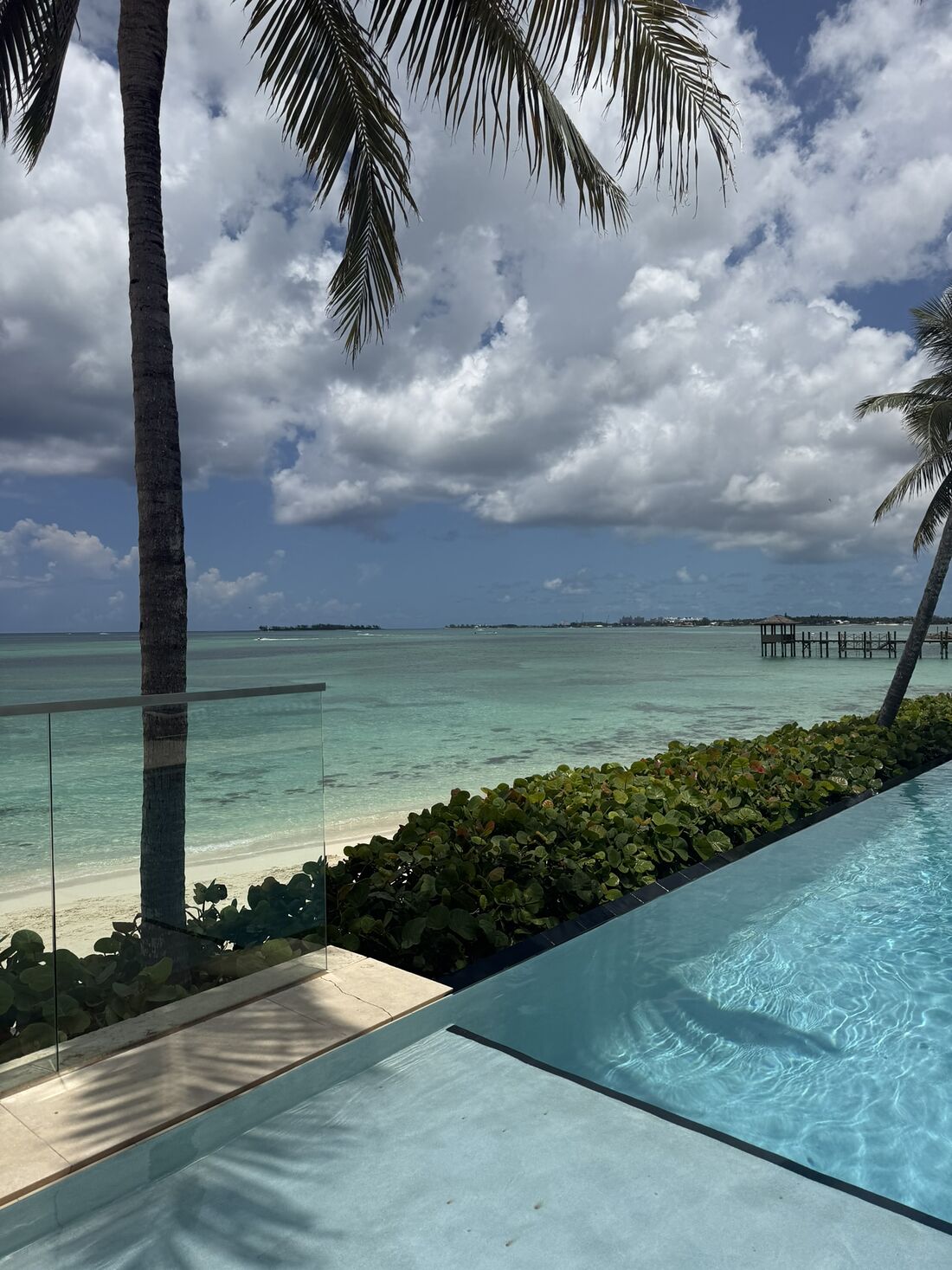 An infinity pool edge meeting a turquoise sea under palm trees