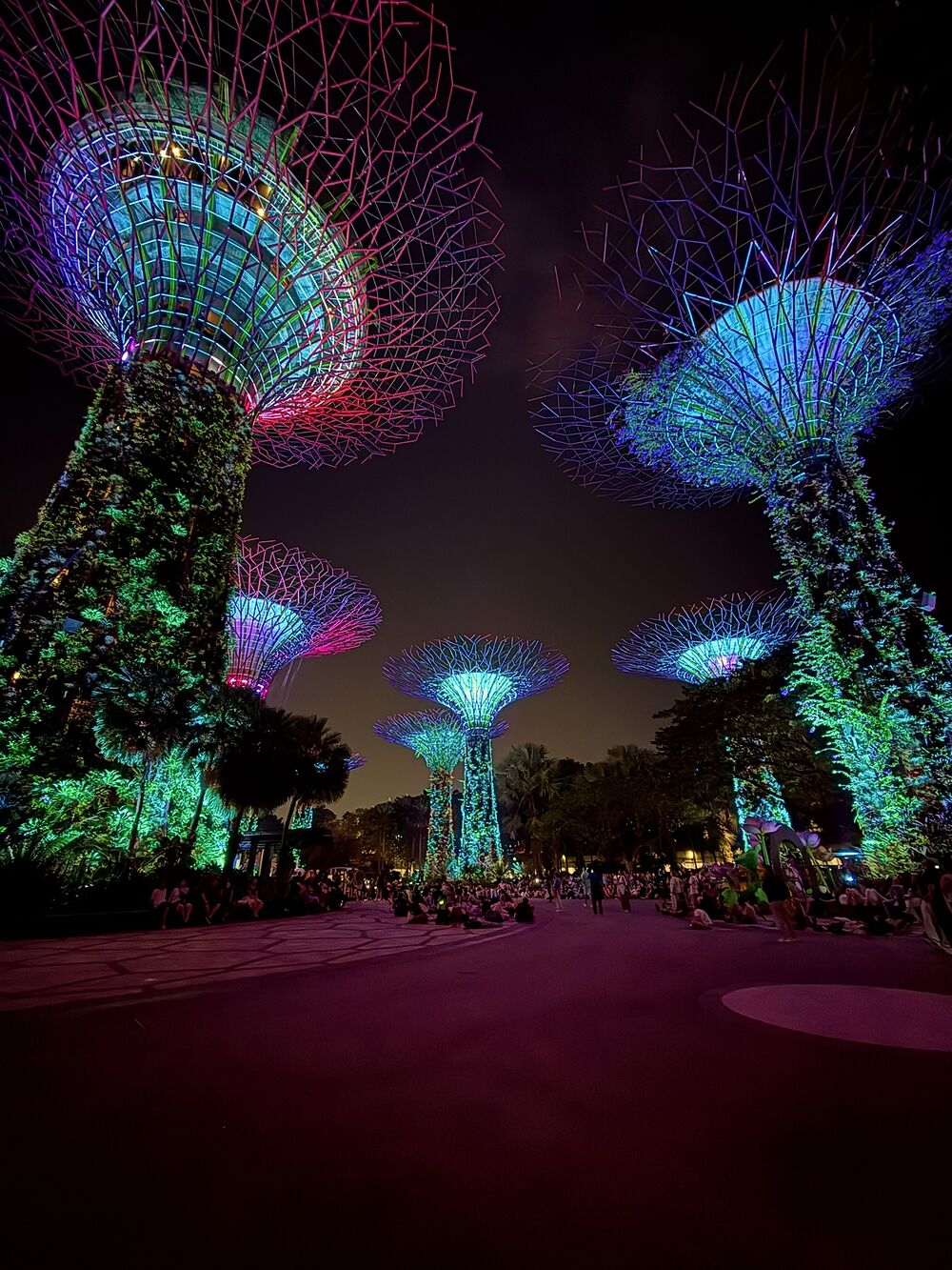 Glowing sculptural supertrees lit pink and teal at night